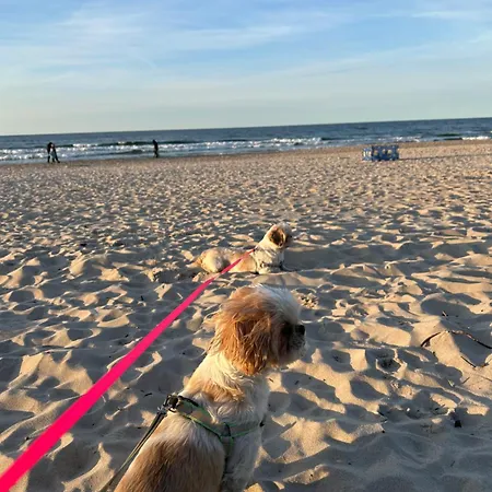 Marina Sun Homestay Wladyslawowo