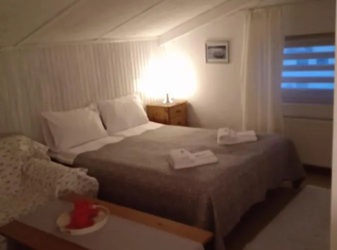 Marina Sun Homestay *