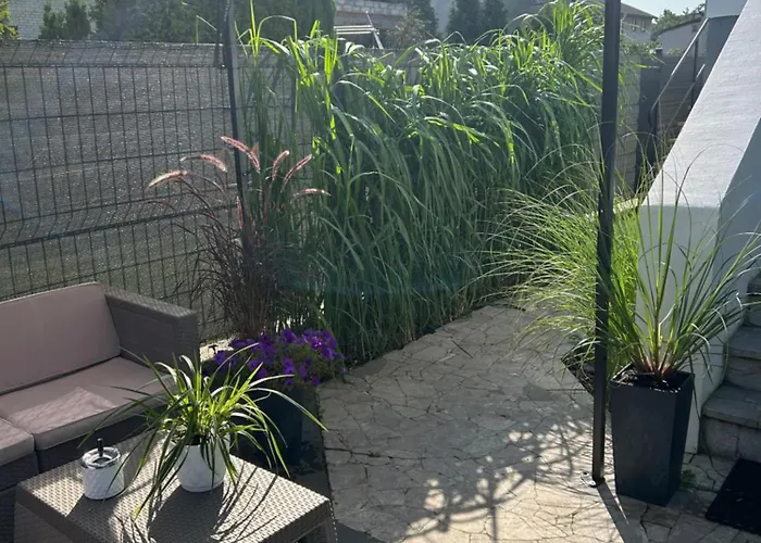 Marina Sun * Wladyslawowo